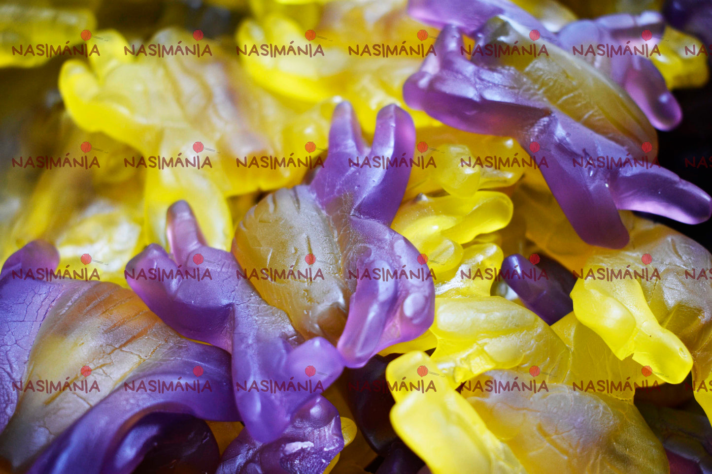Orias_afonyas_pok_gumicukor_2